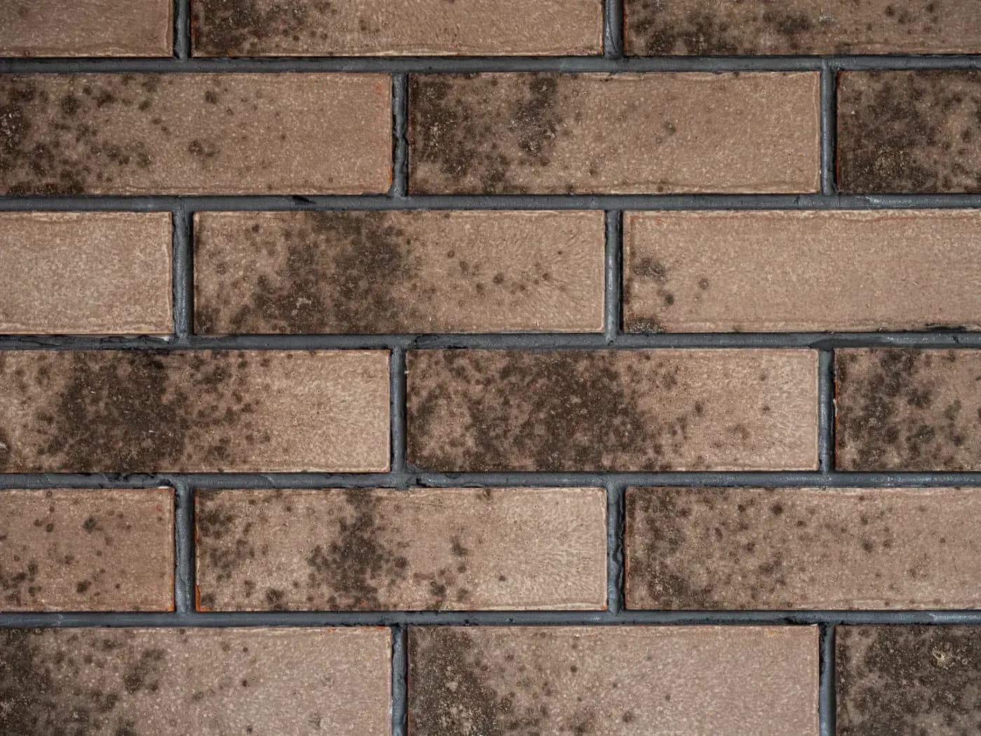 Клинкерная фасадная плитка, Moonstone Black, 240×71×10 мм