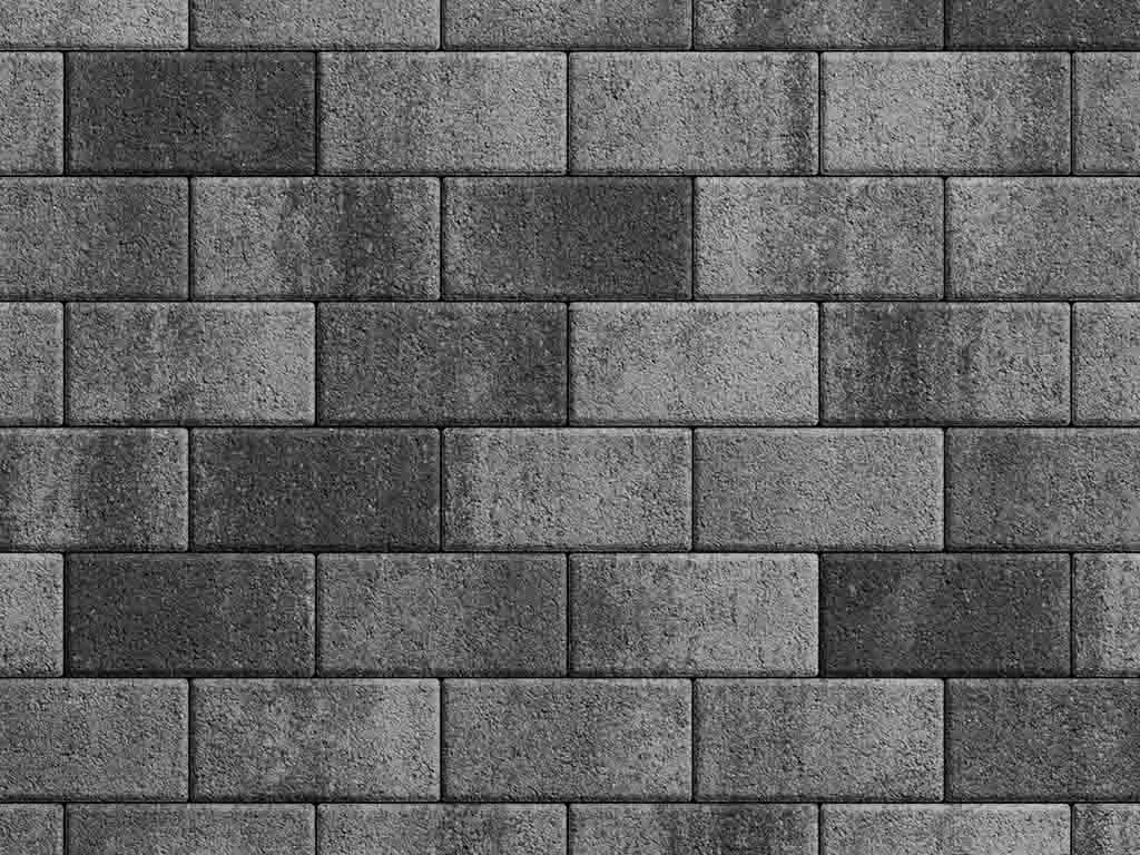 Тротуарная плитка Прямоугольник 100×200 мм, Листопад Гранит антрацит Шелковица