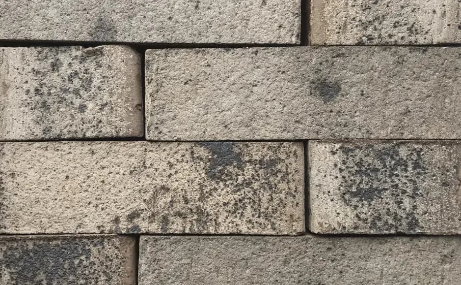 Клинкер фасадный Нарвский, WDF, 215×102×65 мм, фото 7