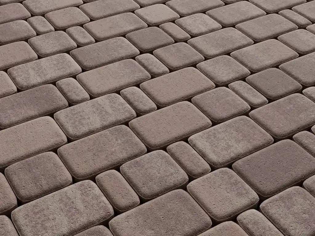 Тротуарная плитка Классико, Листопад Хаски стандарт, гладкая на антраците, фото 6