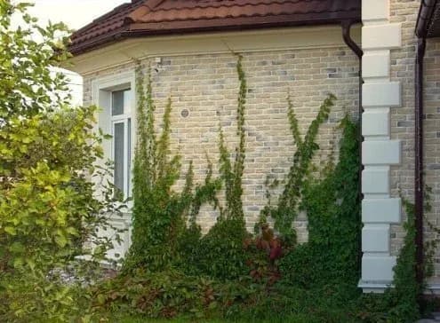 Искусственный камень Брюгге Брик 315-30, желтый, фото 2