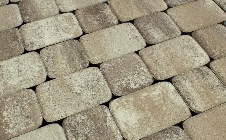Тротуарная плитка Классико, Листопад Хаски стандарт, гладкая на антраците, фото 4
