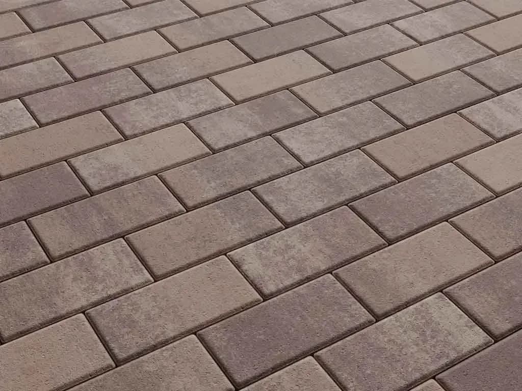 Тротуарная плитка Прямоугольник 100×200 мм, Листопад Хаски стандарт, гладкая на антраците, фото 6