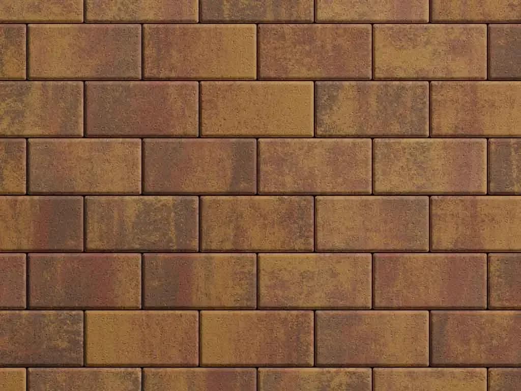 Тротуарная плитка Прямоугольник 100×200 мм, Листопад Осень стандарт, гладкая на антраците, фото 3